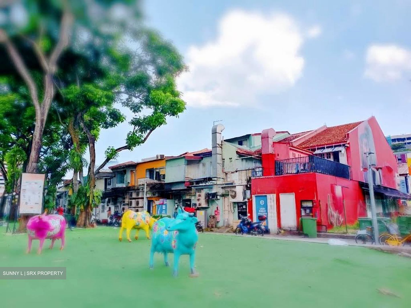 Little India Conservation Area (D8), Shop House #576212311